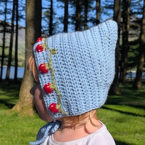 May include: A pale blue crocheted bonnet with a pointed crown, decorated with red strawberry motifs and green vines. The bonnet has a tie fastening. The background shows a forest and a lake.