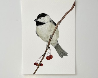 Black Capped Chickadee Print, Giclee Print, Bird Print, songbird, watercolor print. Bird print. Garden. Wall art. Nature art.
