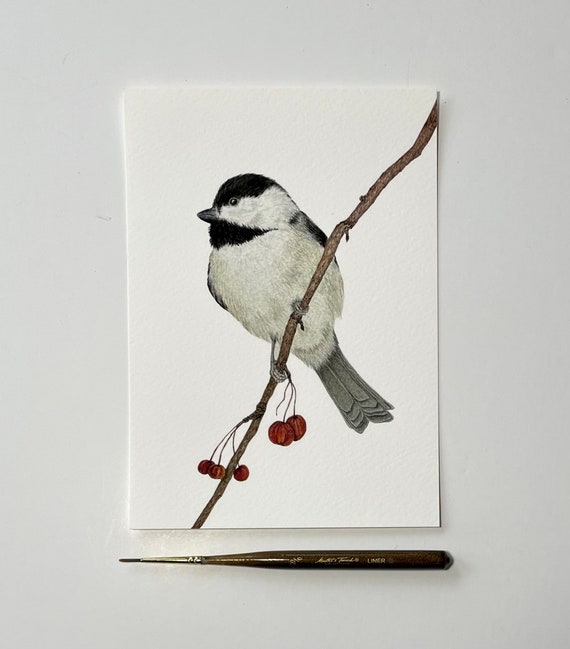 Black-Capped Chickadee Giclee Art Print