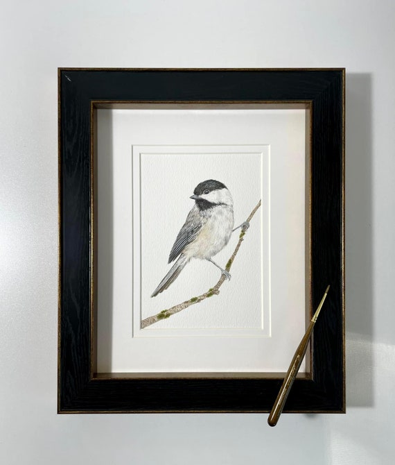 Black-Capped Chickadee Watercolor Painting