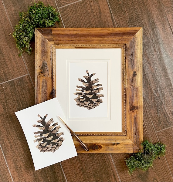 Pinecone Giclee Art Print