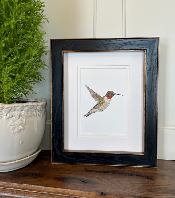 Ruby Throated Hummingbird Giclee Print