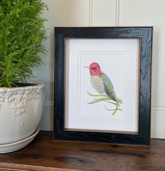 Anna’s Hummingbird Giclee Art Print