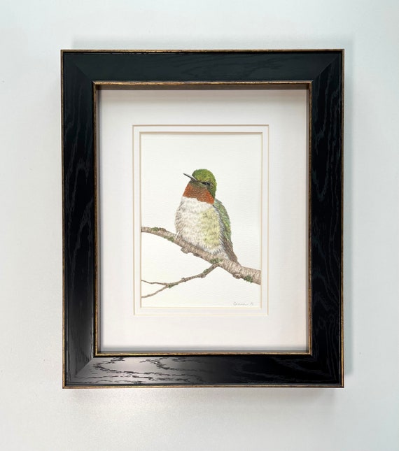 Ruby Throated Hummingbird