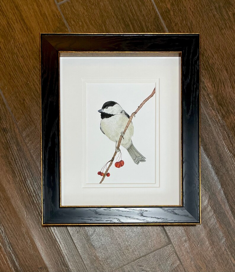 Black Capped Chickadee Print, Giclee Print, Bird Print, Songbird ...
