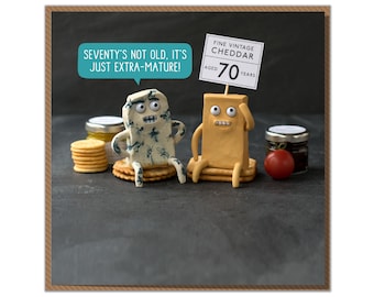 Seventy's Not Old It's Just Extra-Mature! Funny Cheesy 70th Birthday Card