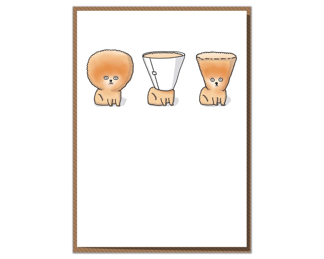 Conehead. Funny Dog Greeting Card Etsy UK