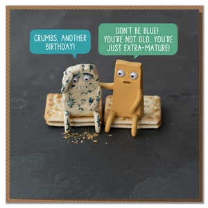 You're Not Old, You're Just Extra Mature! Funny Cheesy Birthday Card