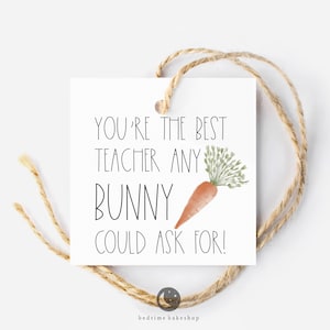 May include: White gift tag with black text that reads "You're the best teacher any bunny could ask for!" with a watercolor illustration of a carrot.