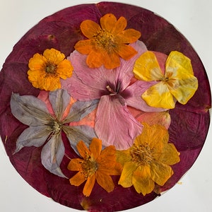 Framed herbarium of dried and pressed wildflowers - &quot;rose-petal herbarium&quot;