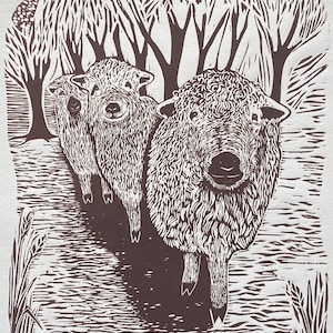 Limited edition, handmade Linocut  print. Greyface Dartmoor Sheep.