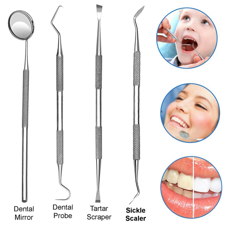 Stainless Steel Medical Grade Dental Kit Floss Pick Scaler Etsy