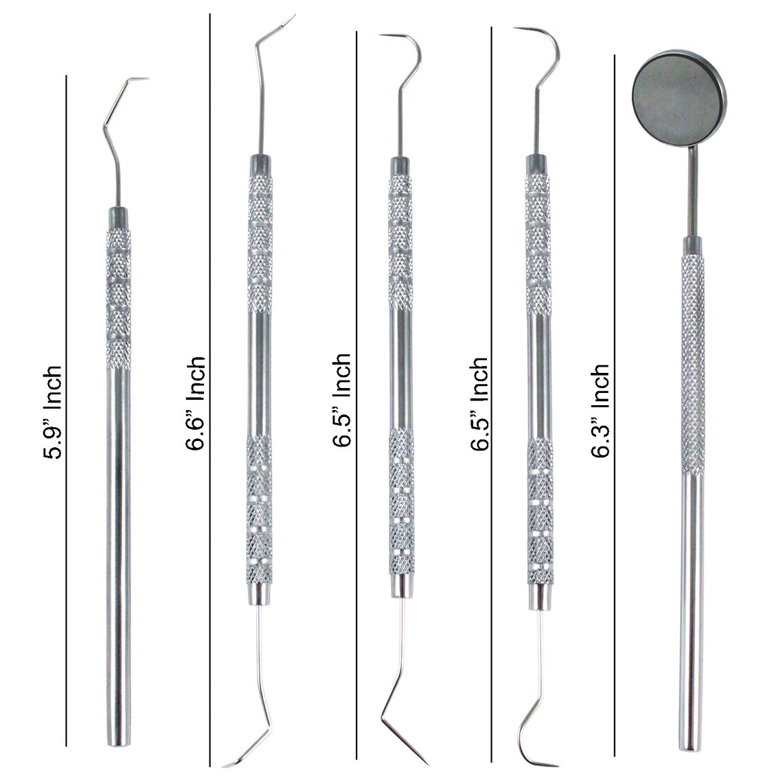 Stainless Steel Surgical Grade Dental Kit Floss Pick Scaler Etsy