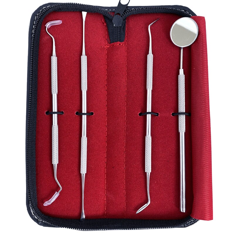 Stainless Steel Medical Grade Dental Kit Floss Pick Scaler Etsy