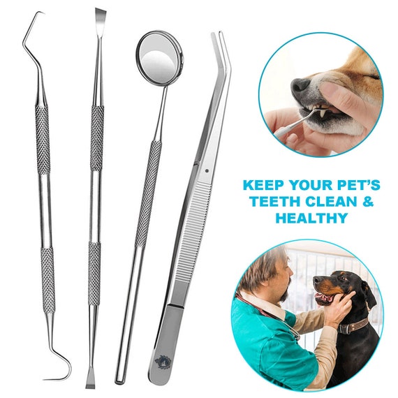 canine dental cleaning tools