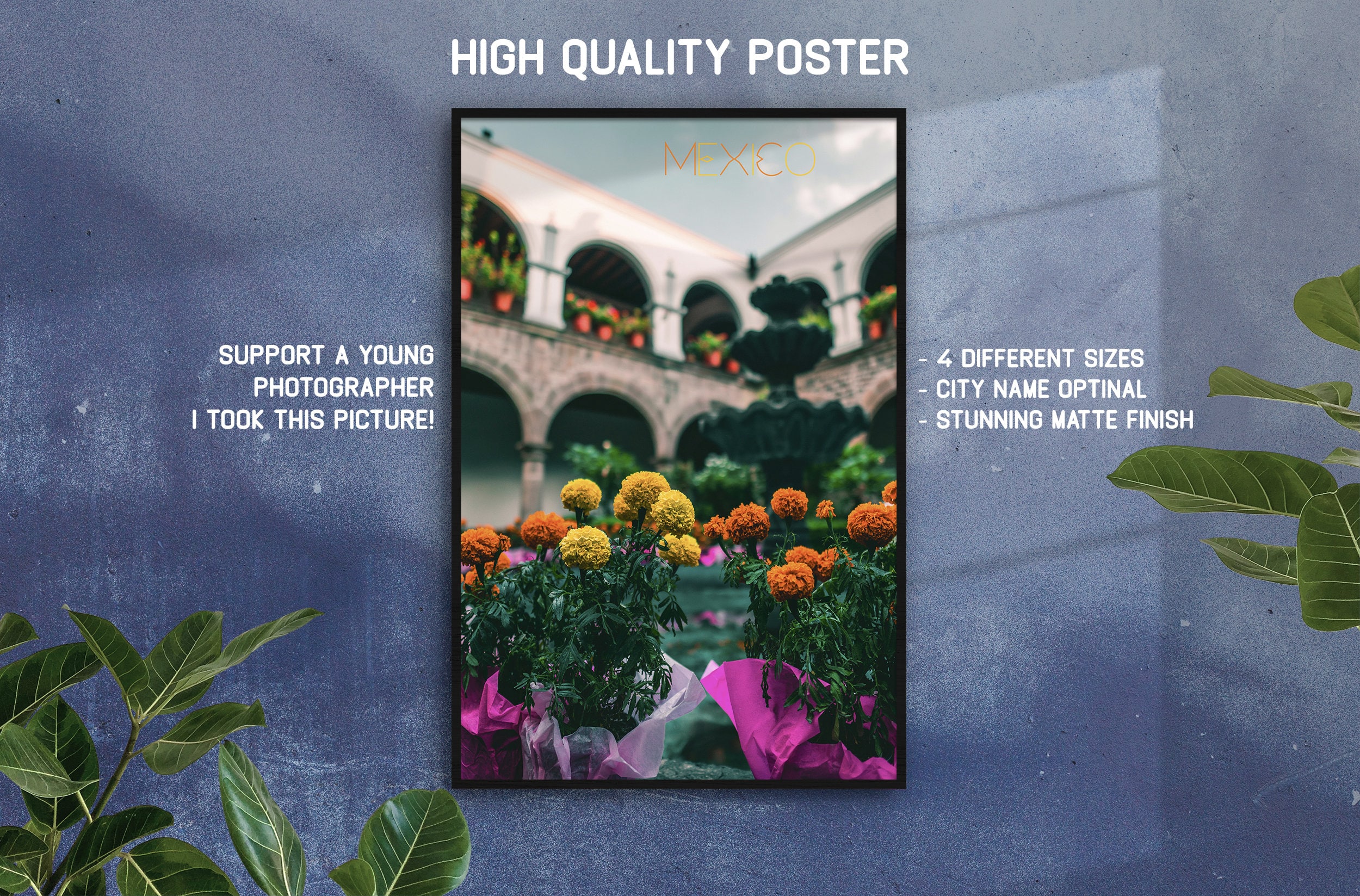 Fleurs Mexicaines, Mexico City Poster Fine Art Photo Print