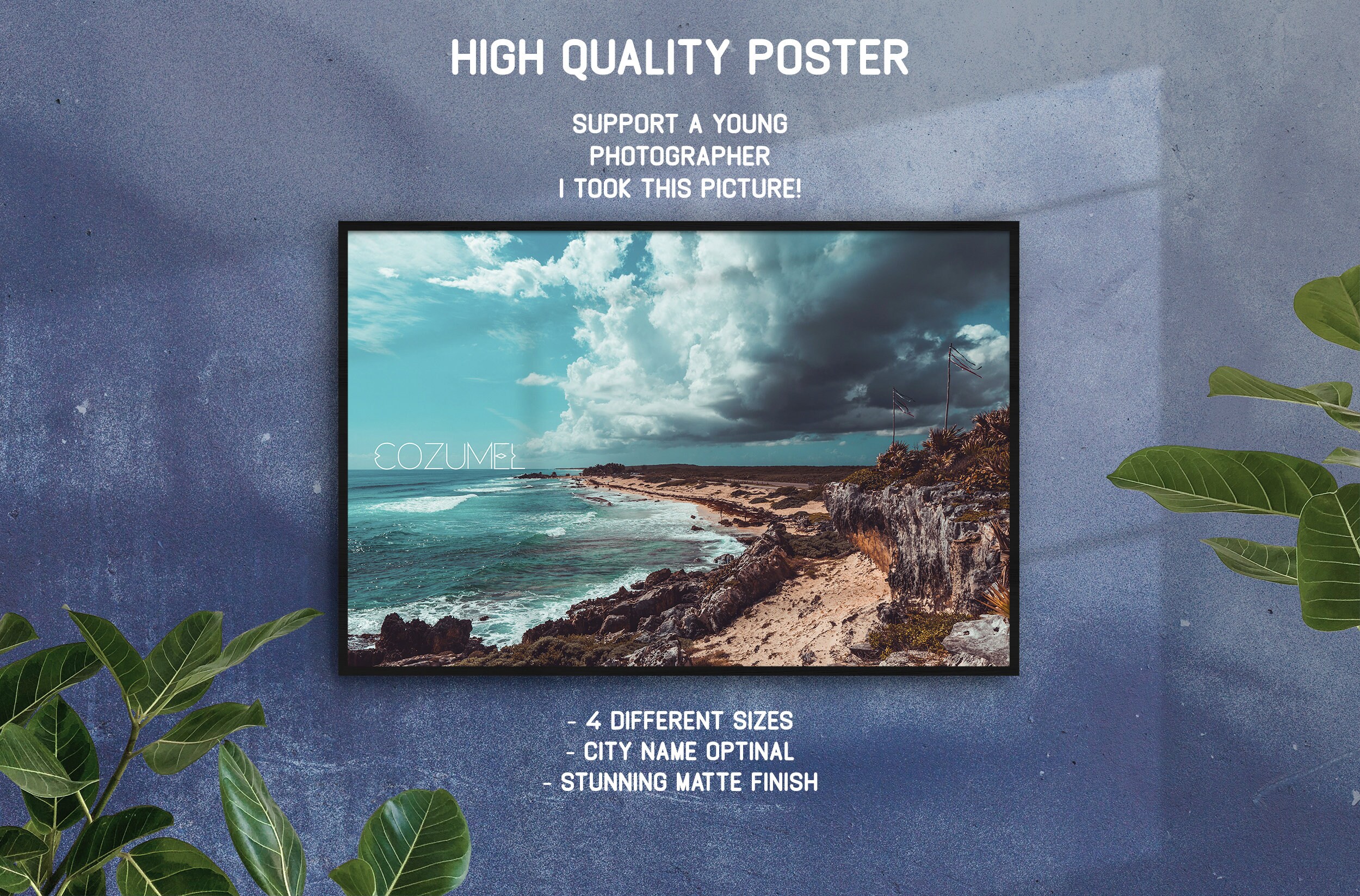 Cozumel, Quintana Roo, Mexique Poster Fine Art Photo Print