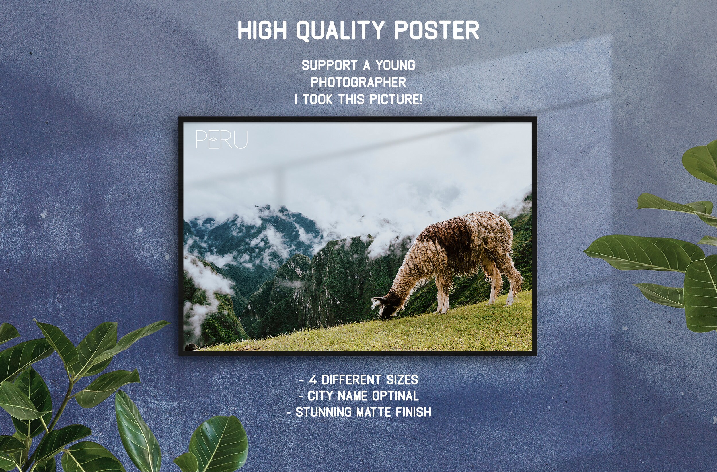 Lama Pérou Poster Fine Art Photo Imprimer