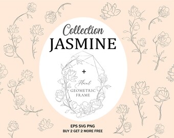 Jasmine Flowers Svg Etsy