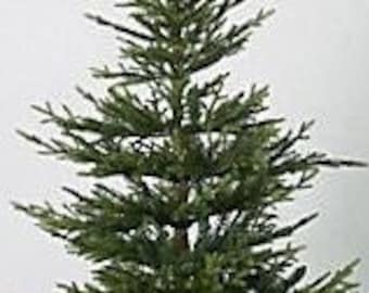 5 1/2 - 6 ft Scandinavian sparse CHRISTMAS TREE lifelike realistic farmhouse