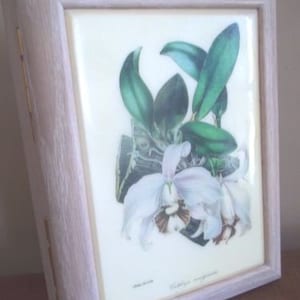 anniversary gift ORCHID MUSIC BOX Cattleya Phalaenopsis Phal flower Musical tile Wood botanical floral