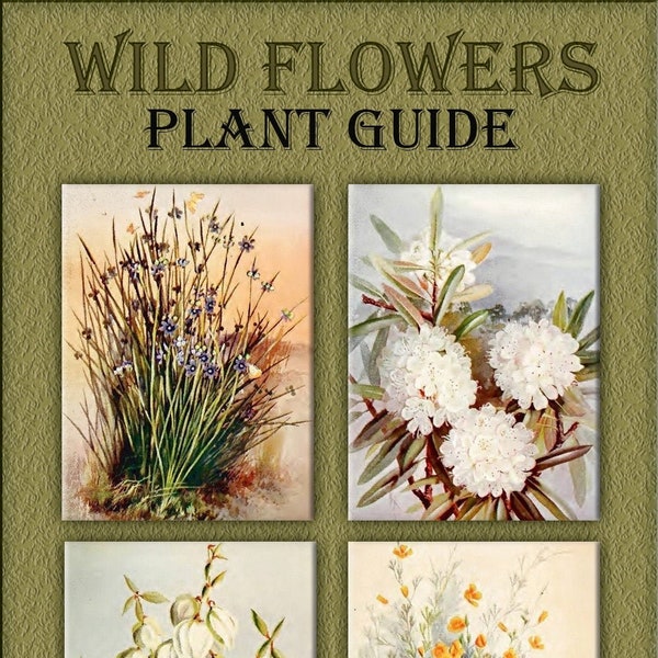 Plant guide wild flowers printable botanical illustrated book,wildflower print