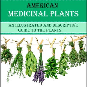 Vintage american botanical medicinal plants 2,illustrated plant book
