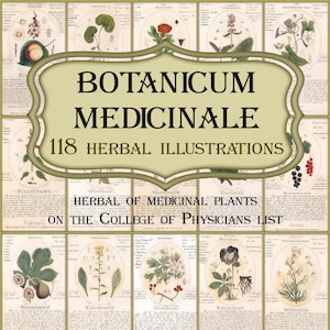 118 old botanical medicine herbal illustrations,Botanicum medicinale, 1768 Instant Download