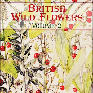 Fleurs sauvages vintage, livre de collages botaniques, livre Pages 2 à téléchargement immédiat