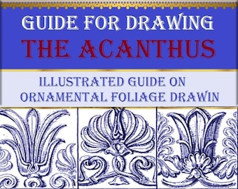 Ornamental design elements,ornament tutorial,Guide for drawing the acanthus