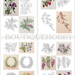 May include: A collection of embroidery patterns featuring various botanical designs including irises, strawberries, floral wreaths, and thistles. Each design is presented as both a full-colour embroidered version and a black and white line drawing.