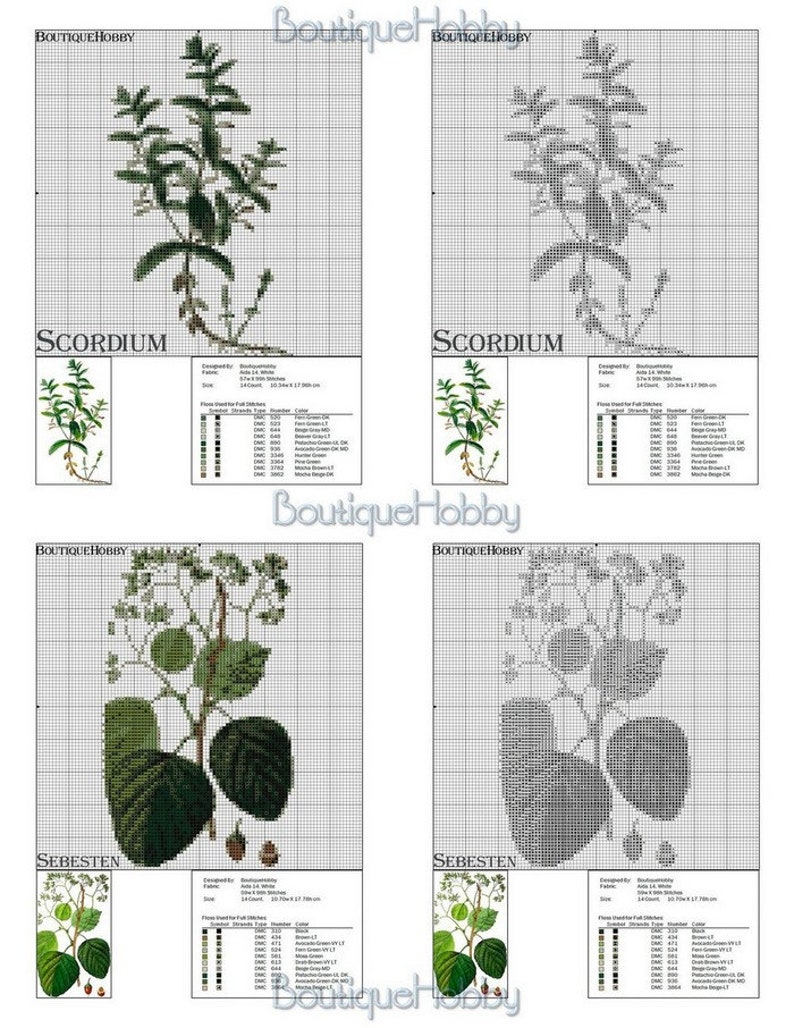 Cross Stitch Pattern Herbs Plants Book Patterns PDF Cross Etsy
