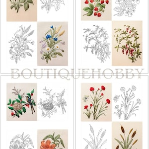 May include: A collection of embroidery patterns featuring botanical and nature themes, including roses, strawberries, wildflowers, birds in nests, carnations, lilies, and cattails. Each design is shown in both full-colour embroidery and black line art.
