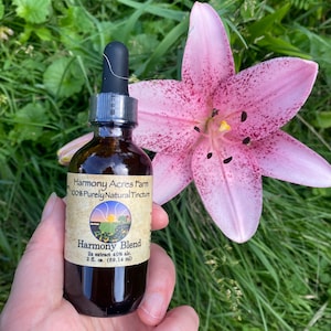 HARMONY BLEND Mushroom Tincture | 2fl oz | Eleven Mushrooms & Herb Blend | Locally and Ethically Sourced