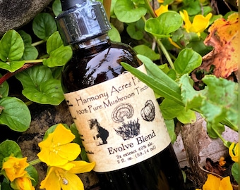 EVOLVE BLEND Mushroom Tincture | 2fl oz | Reishi - Chaga - Lions Mane - Cordyceps Militaris | Locally & Ethically Sourced