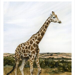 Into the Wild: Graceful - 5x7 Print