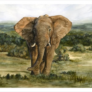 Into the Wild: Intellect - 18x24 Print