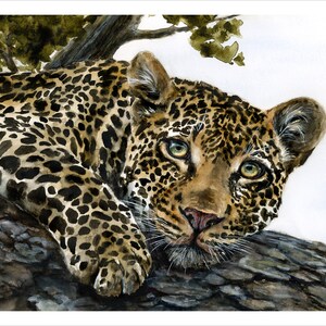 Into the Wild: Elusive - 18x24 Print