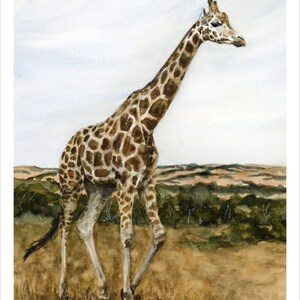 Into the Wild: Graceful - 8x10 Print