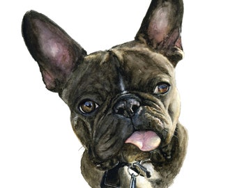Watercolor Pet Portrait, Custom Art, Dog Portrait, Cat Portrait, Animal Portrait, Watercolor Animals