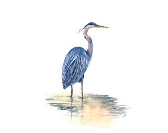 From Heron In, I'll Wade For You - 11x14 Fine Art Print