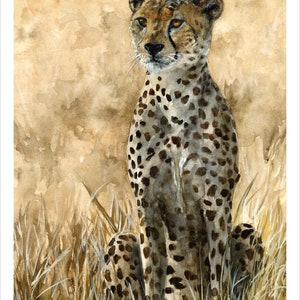 Into the Wild: Adventurous - 11x14 Print