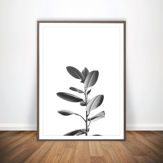 Ficus Print Scandinavian Decor Black White Botanical Print Etsy
