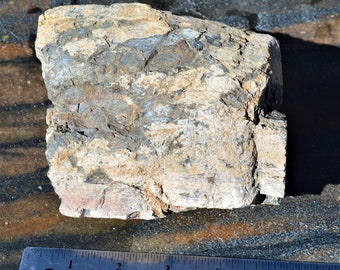 Amazing very old stock 4-pound chunk of Dinosaur bone which was collected near Jensen, Utah