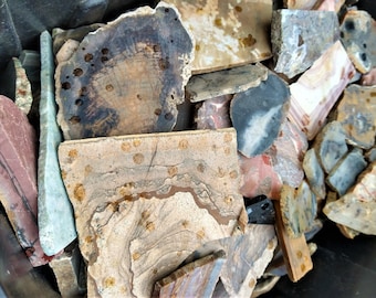 Lapidary Slab Set: Agate, Jasper, Rhyolite, Rhodonite