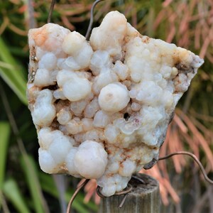 BCS-20-05 Botryoidal Chalcedony Specimen from Nevada. 8.3 OZ or 234 grams. Fluorescent Mineral image 2