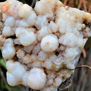 BCS-20-05 Botryoidal Chalcedony Specimen from Nevada. 8.3 OZ or 234 grams. Fluorescent Mineral image 3