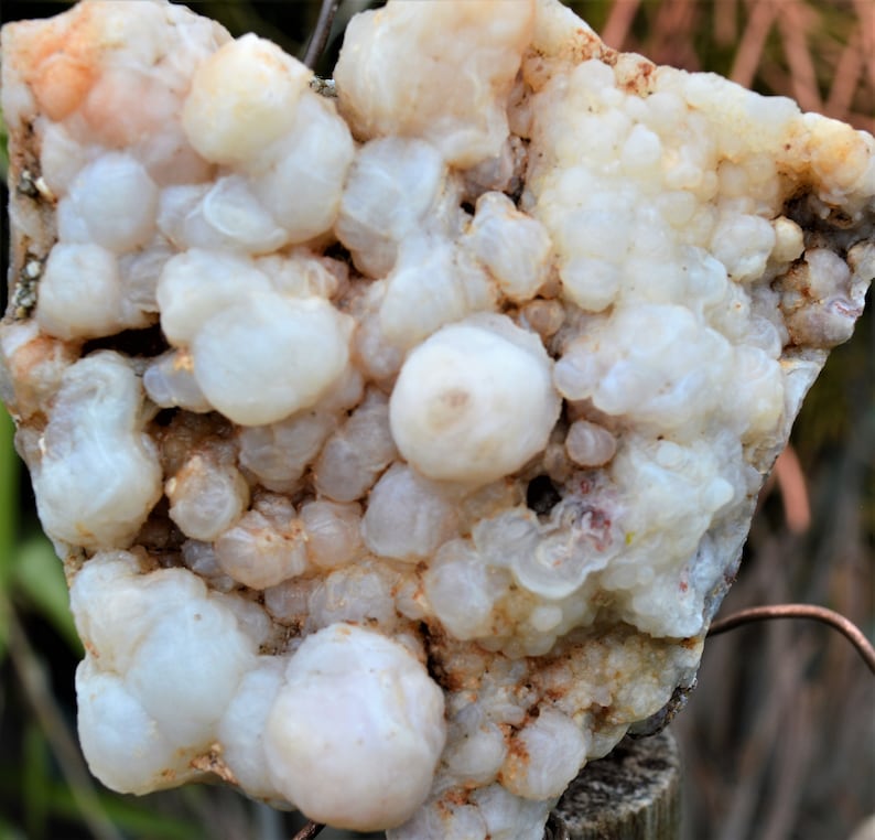BCS-20-05 Botryoidal Chalcedony Specimen from Nevada. 8.3 OZ or 234 grams. Fluorescent Mineral image 3