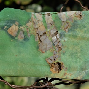 Puede incluir: Una piedra verde y marrón con una superficie rugosa y agrietada. La piedra tiene una forma irregular y un borde liso y pulido.