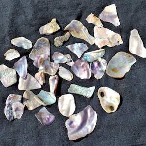 May include: A collection of iridescent abalone shell pieces in various shapes and sizes. The shells have a pearlescent sheen and range in color from purple to green to pink.
